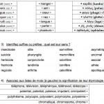 Apport des langues anciennes en francais : étymologie gréco-latine